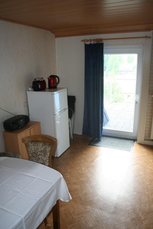Apartment Rumrich Altenberg (Erzgebirge)